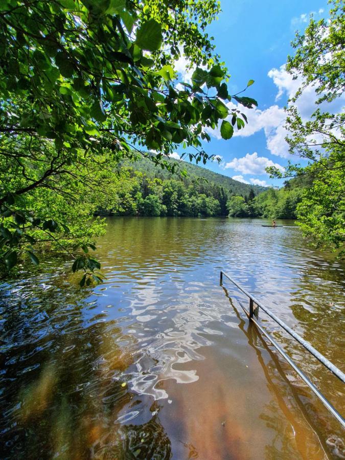 Alte Goldschmiede Suedpfalz คลิงเกนมึนสเตอร์ ภายนอก รูปภาพ